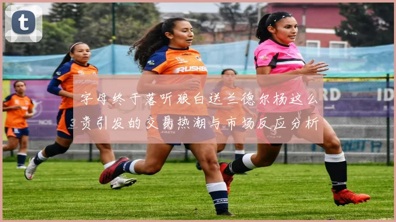 字母终于落听狼白送兰德尔杨这么贵引发的交易热潮与市场反应分析